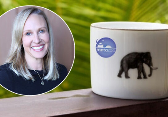 Jennifer Mercer, CEO, Metazoa